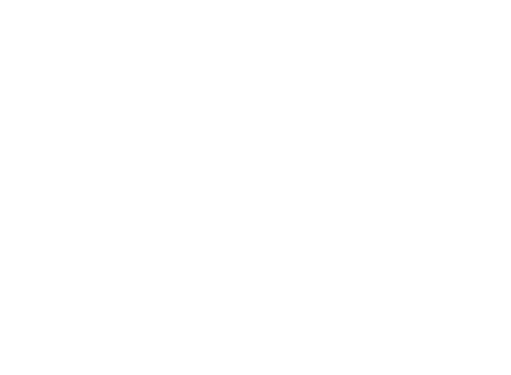 white-horse-img-cavalry-associates